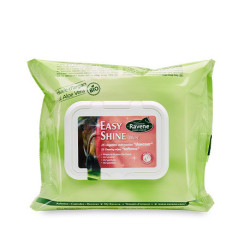 Lingettes Nettoyantes Ravene Easy Shine Wipe