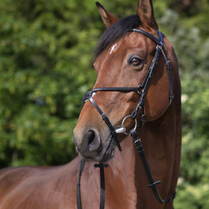RIDING WORLD - Bridon Muserolle Croisée - Noir RIDING WORLD - Bridon Muserolle Croisée - Noir
