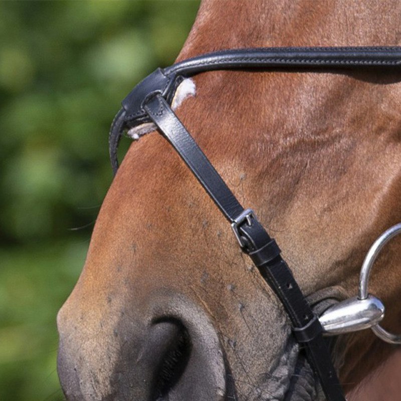 RIDING WORLD - Bridon Muserolle Croisée - Noir RIDING WORLD - Bridon Muserolle Croisée - Noir