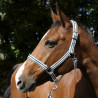 EQUITHEME - Licol Ligne - Noir/Bleu/Blanc EQUITHEME - Licol Ligne - Noir/Bleu/Blanc