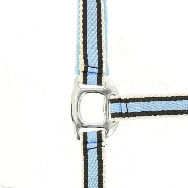 EQUITHEME - Licol Ligne - Noir/Bleu/Blanc EQUITHEME - Licol Ligne - Noir/Bleu/Blanc