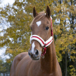 NORTON - Licol Confort - Rouge/Argent