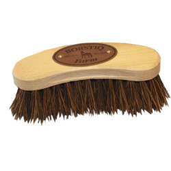 Borstiq Brosse Banane Bassine