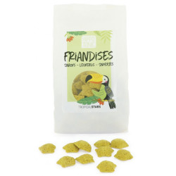 HIPPOTONIC - Friandises Étoiles Tropical