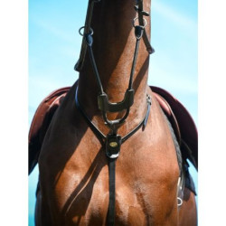Martingale élastique Jumpin à anneaux - Acajou
