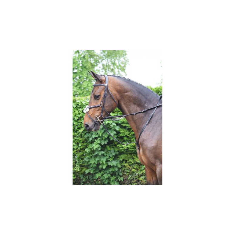 Enrênement Jumpin Howlett Havane Enrênement Jumpin Howlett Havane