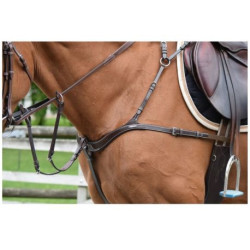 Collier de chasse Jumpin cinq points et martingale Noisette