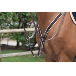 Collier de chasse Jumpin élastique et martingale Noir