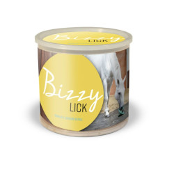 Achat Pierre Bizzy Lick de Bizzy Horse