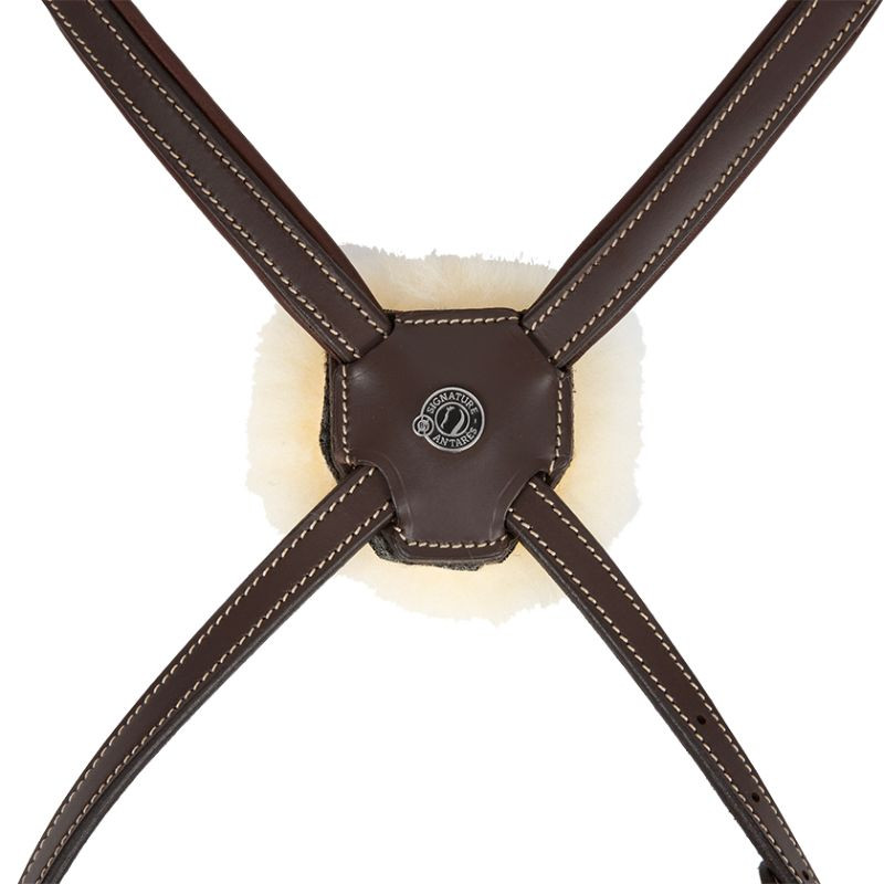 Achat Bridon Muserolle Croisée Marron Signature By Antarès Achat Bridon Muserolle Croisée Marron Signature By Antarès