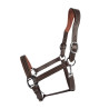 Achat Licol Cuir Signature Marron Signature By Antarès Achat Licol Cuir Signature Marron Signature By Antarès