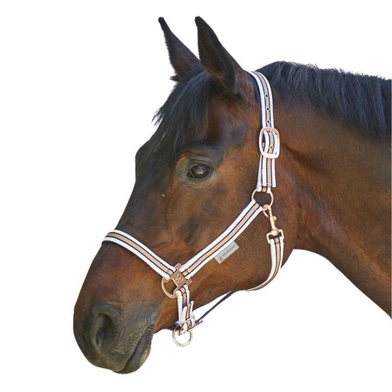 Achat Licol Shine Blanc et Or Rosé Waldhausen Achat Licol Shine Blanc et Or Rosé Waldhausen