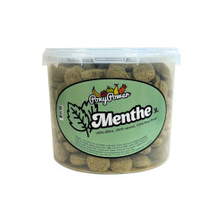 Achat Friandises pour Chevaux Menthe de Pony Power