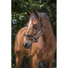 NORTON PRO - Licol en cuir Grooming - Noir NORTON PRO - Licol en cuir Grooming - Noir