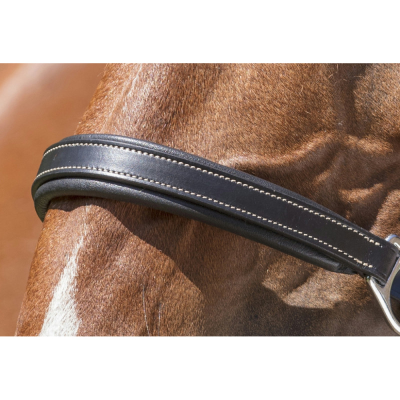 NORTON PRO - Licol en cuir Grooming - Noir NORTON PRO - Licol en cuir Grooming - Noir