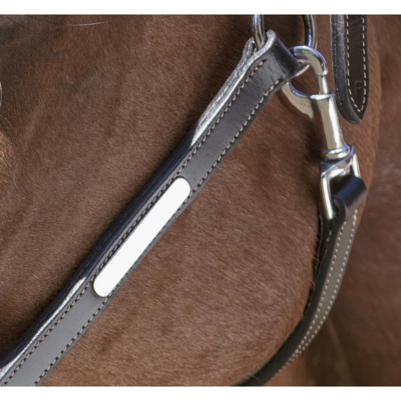 NORTON PRO - Licol en cuir Grooming - Noir NORTON PRO - Licol en cuir Grooming - Noir